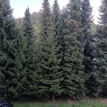 Appartement Sonnenkalb