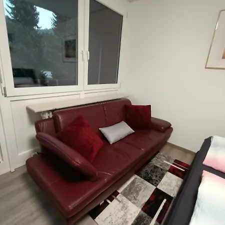 Apartment Sonnenkalb Todtmoos