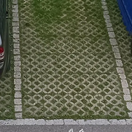 Sonnenkalb