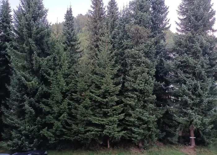 Appartement Sonnenkalb