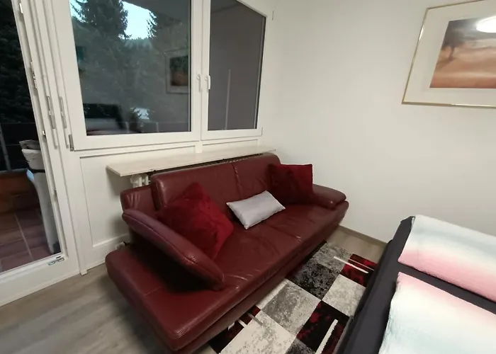 Appartement Sonnenkalb Todtmoos